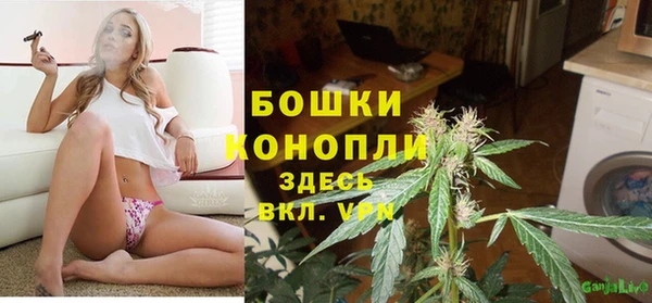 Альфа ПВП Арсеньев