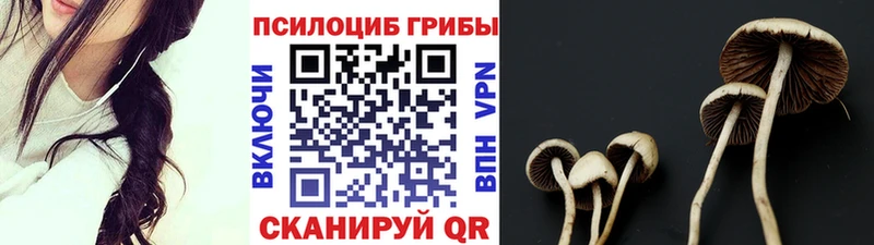 Галлюциногенные грибы Magic Shrooms  сайты даркнета официальный сайт  Колпашево 
